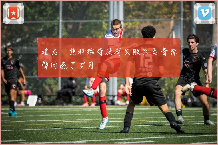 追光丨焦科维奇没有失败只是青春暂时赢了岁月