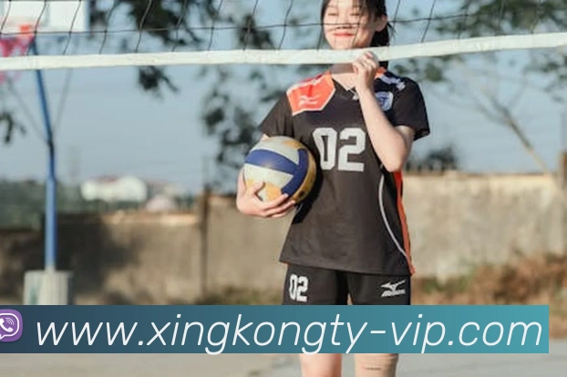 xingkong官网 | 专注足球、篮球及电竞赛事深度报道门户平台生态图