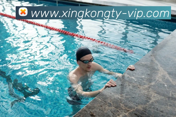 App Interface Preview